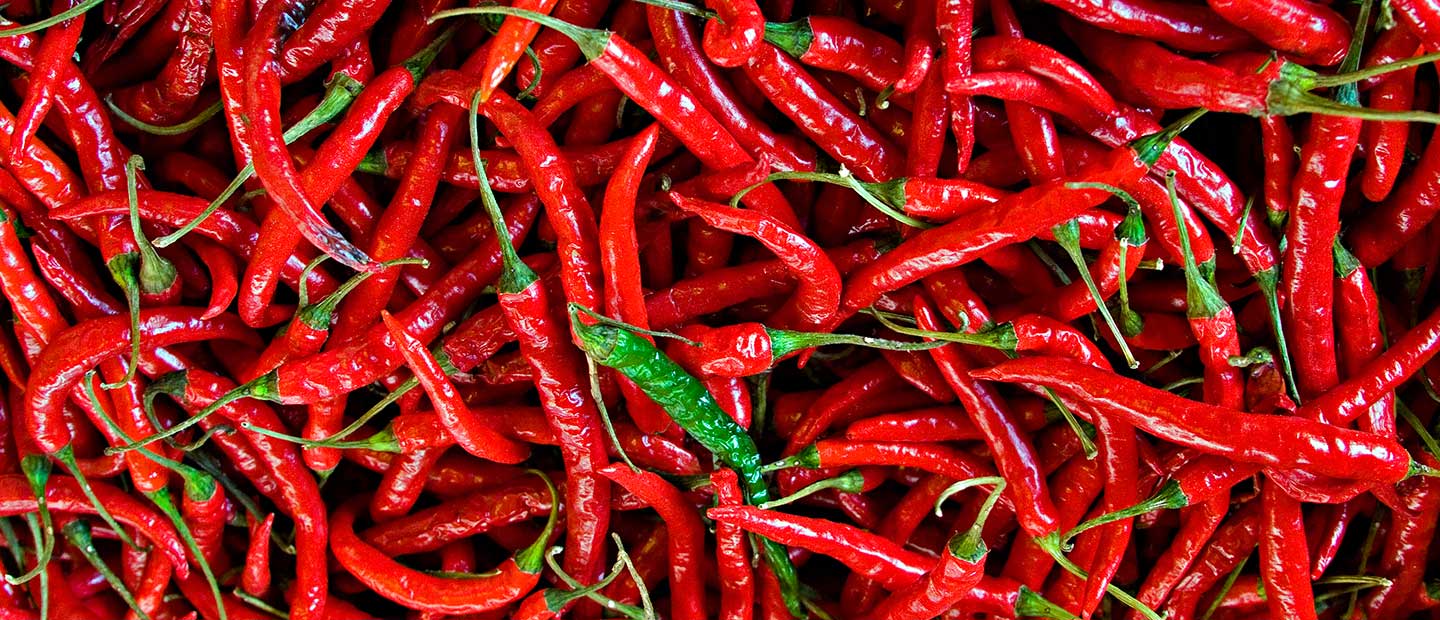 chilli